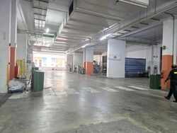 North Point Bizhub (D27), Factory #625394241